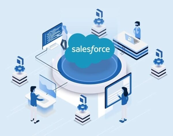 sales-forse-developer